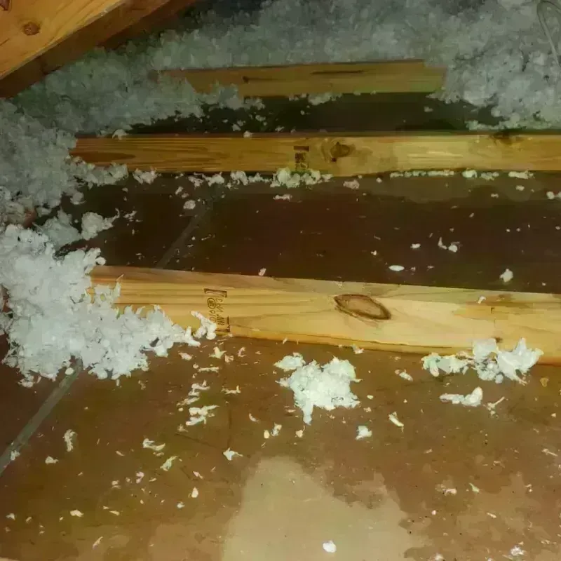 Attic Water Damage in Delavan, WI