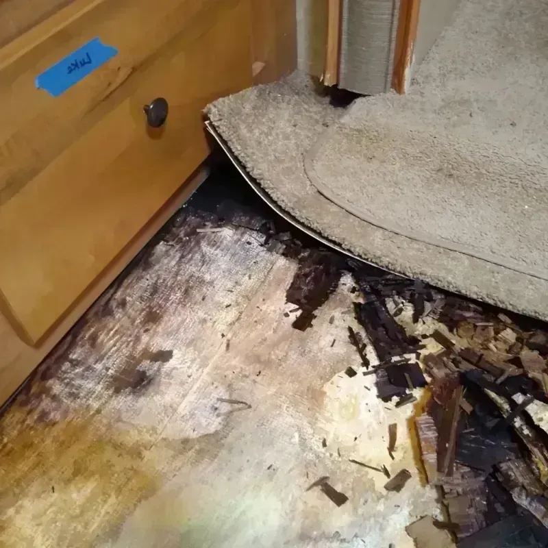 Best Wood Floor Water Damage Service in Delavan, WI